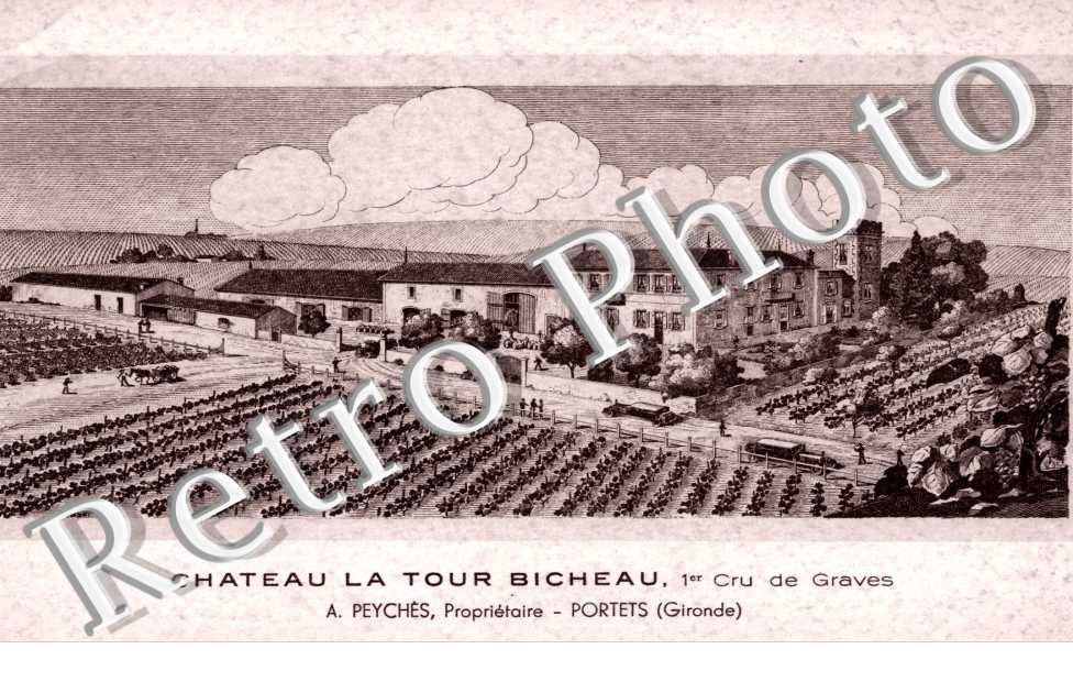 Chateau la tour Bicheau - A. peyches proprietaire