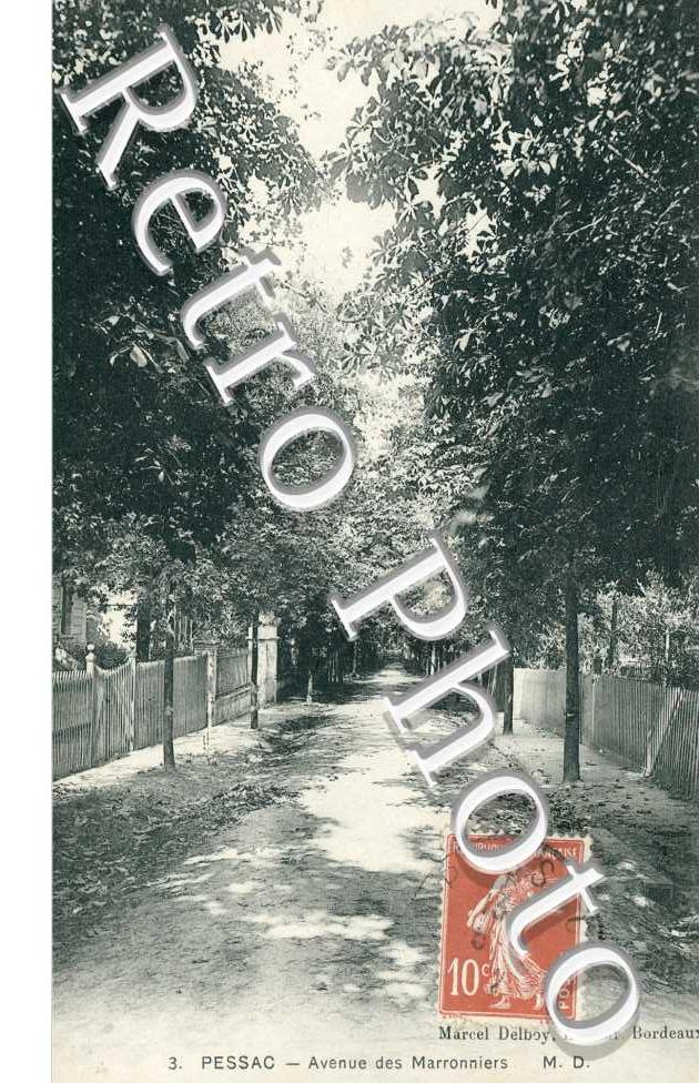 Avenue des Marronniers