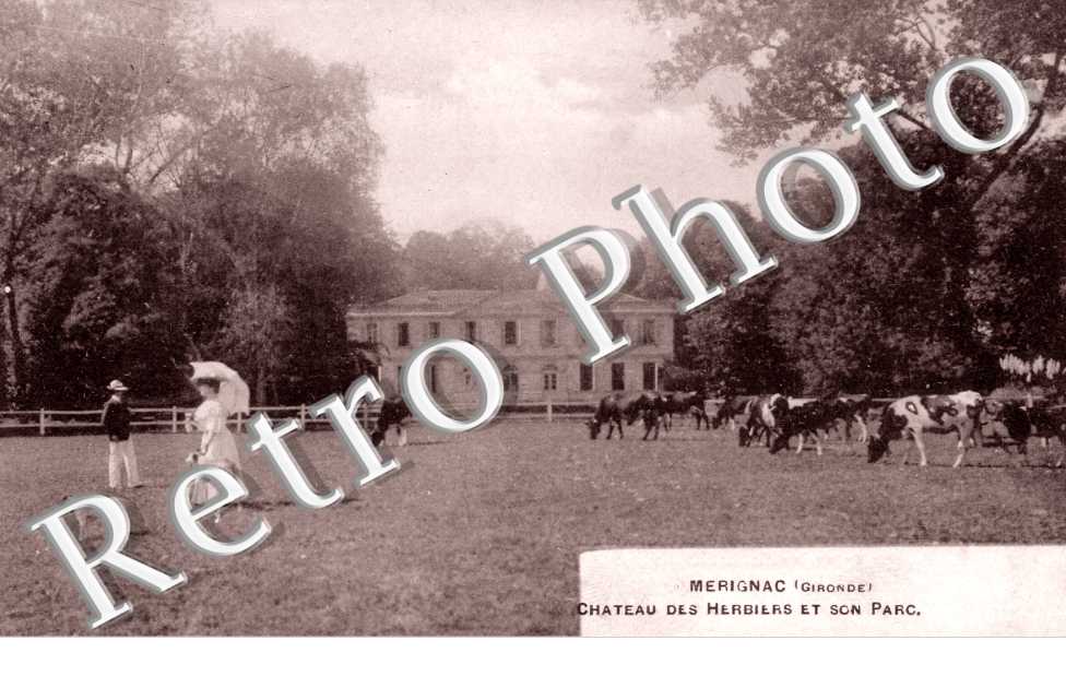 chateau des Herbiers et du parc