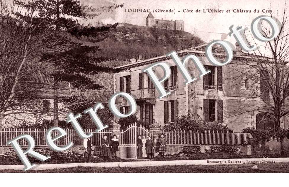 Cote de l'Olivier et chateau du Cros