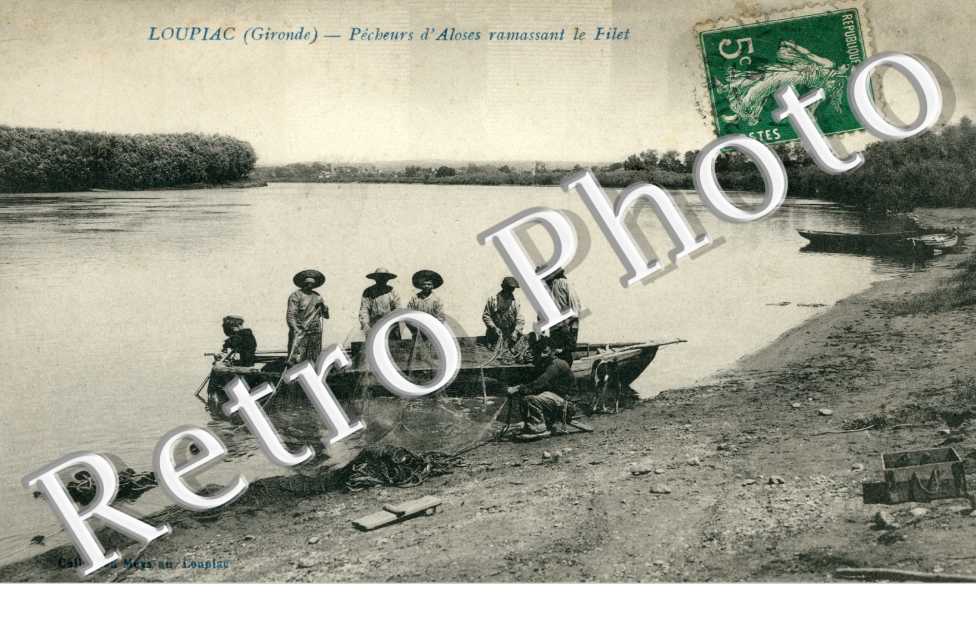 Pecheurs d'Aloses ramassant le filet