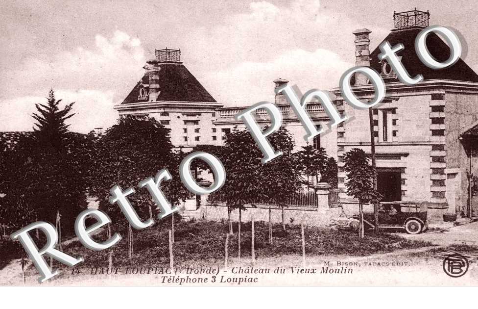 Chateau du vieux moulin