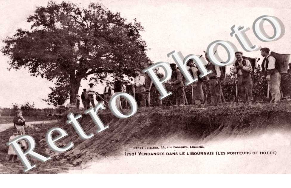 Vendanges