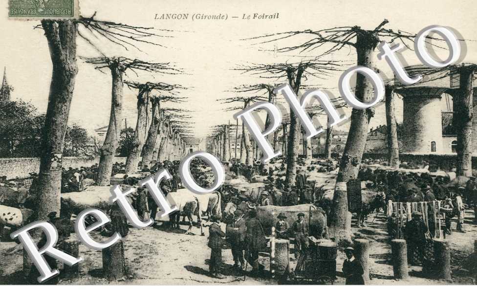 Le Foirail