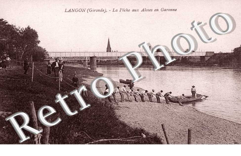 la Peche aux Aloses en Garonne