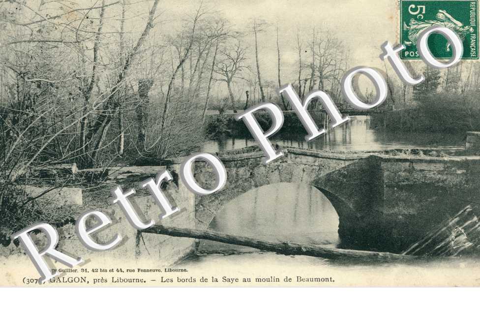 Les Bords de la Saye au Moulin de Beaumont