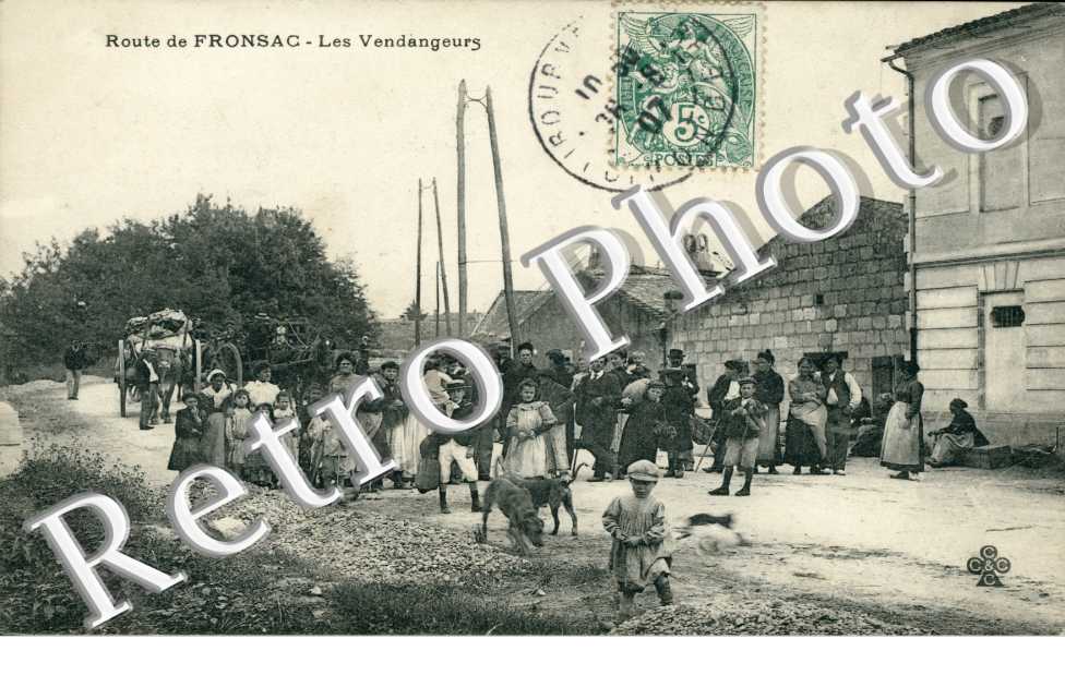 Les vendangeurs - viticulture