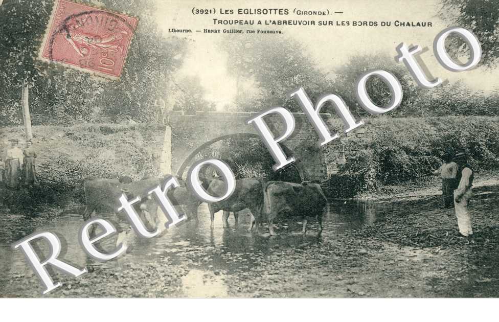 Troupeau a l'Abreuvoir sur les Bords du Chalaur
