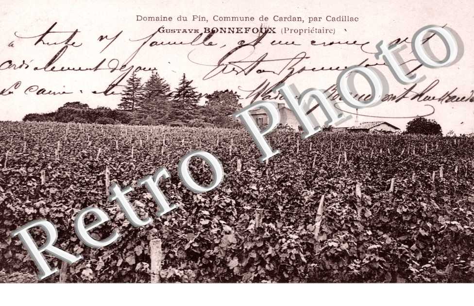 Domaine du Pin - commune de Cardan - Gustave Bonnefoux