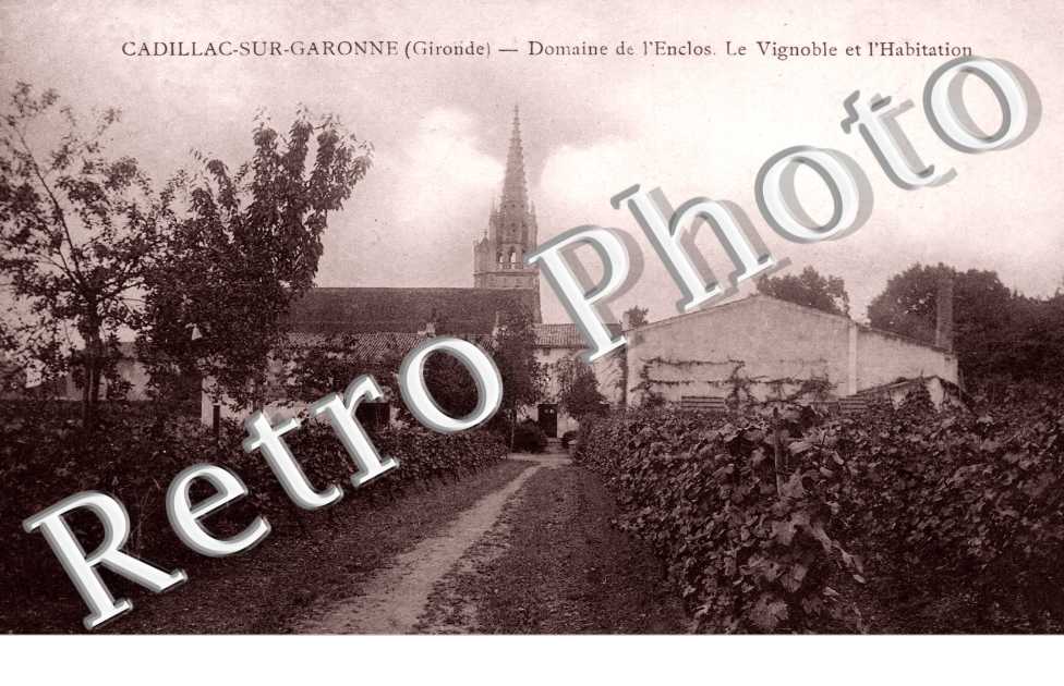 Domaine de l'Enclos, le Vignoble et l'habitation