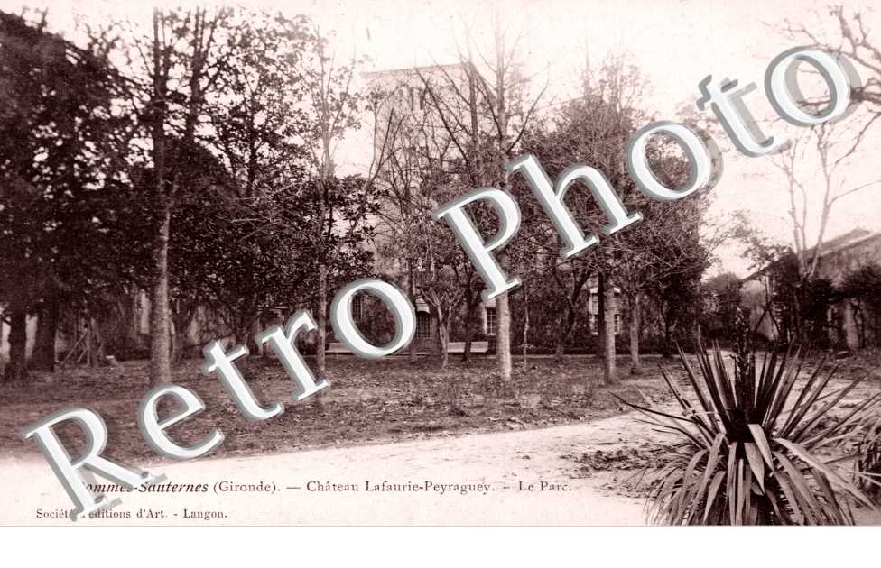 Chateau Lafaurie - Peyraguey - le parc