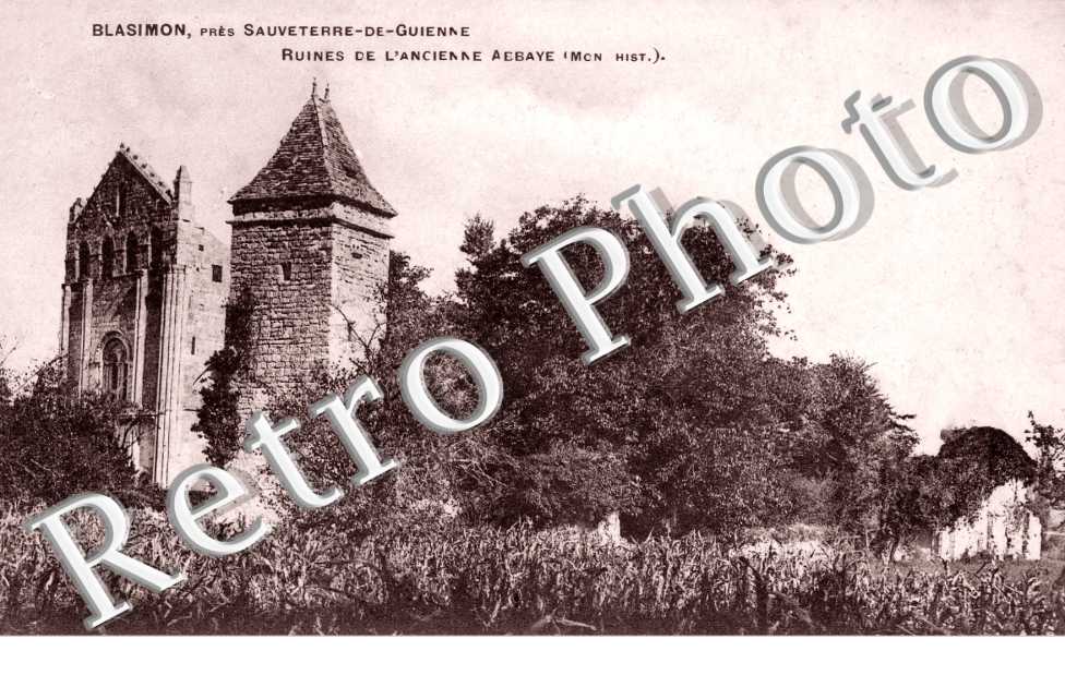 Ruines de l'ancienne abbaye