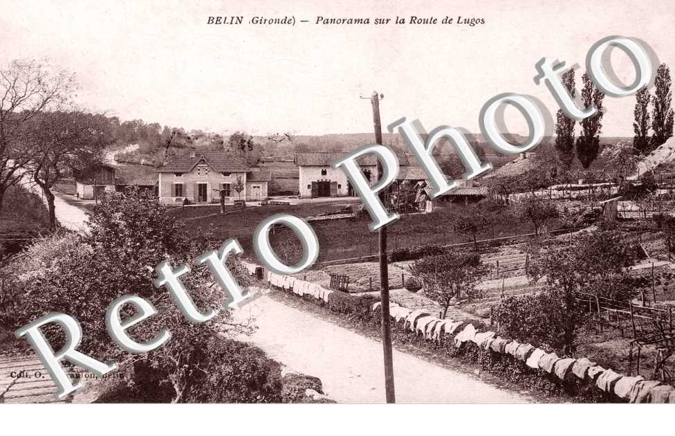 Panorama sur la route de Lugos