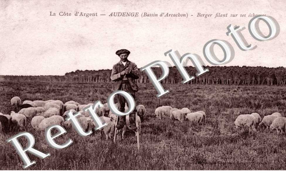 Berger filant sur ses echasses