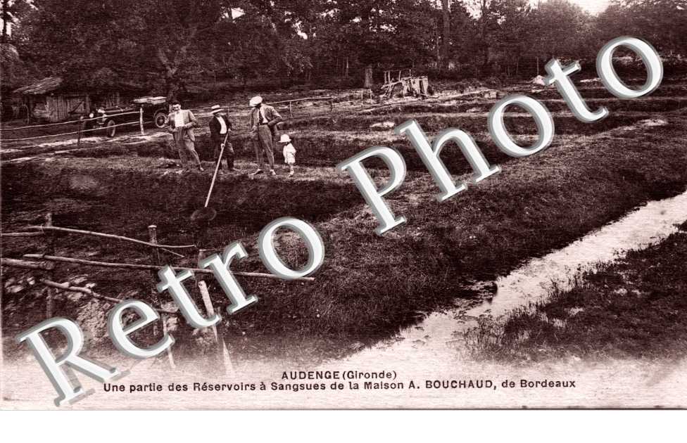 Une partie des reservoires a sangsues de la maison A. Bouchaud de Bordeaux