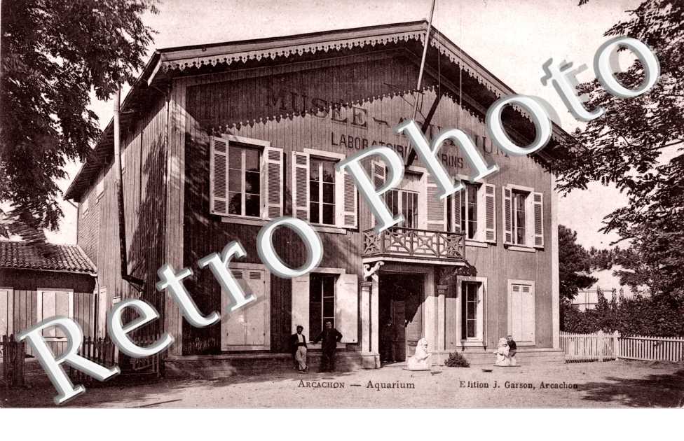 musee aquarium