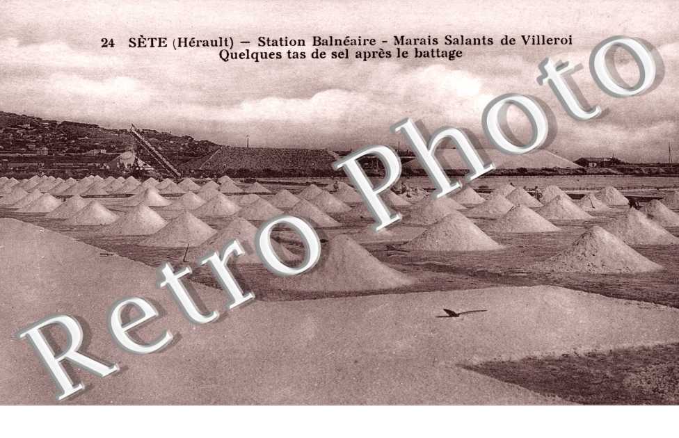 Marais Salants de Villeroi