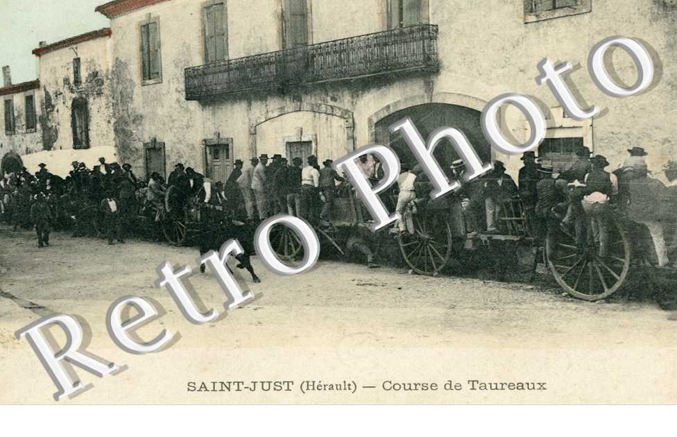 Course de Taureaux