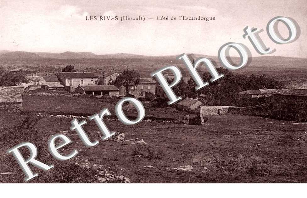 Cote de l'Escandorgue