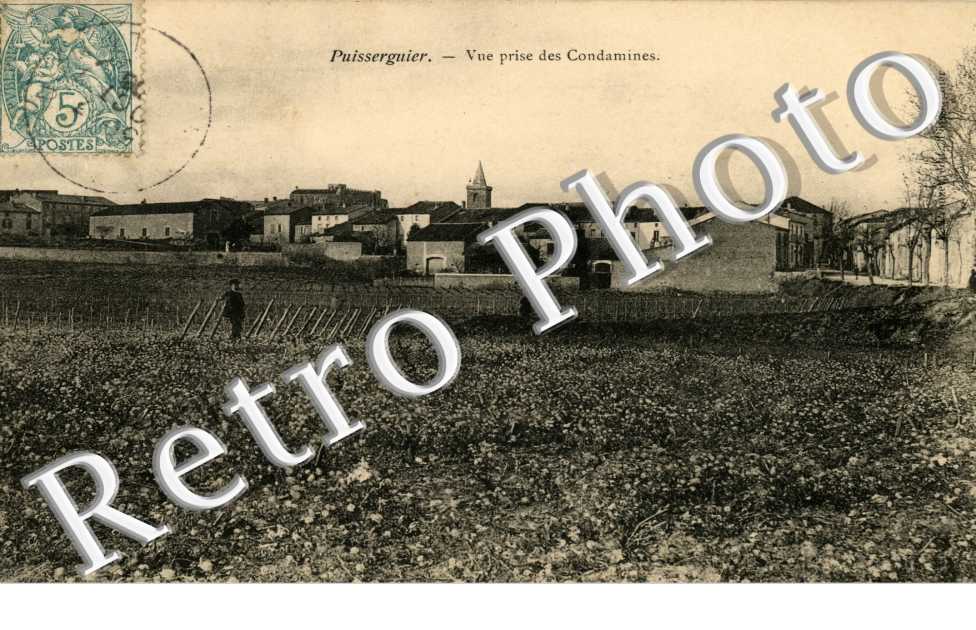 Vue des Condamines