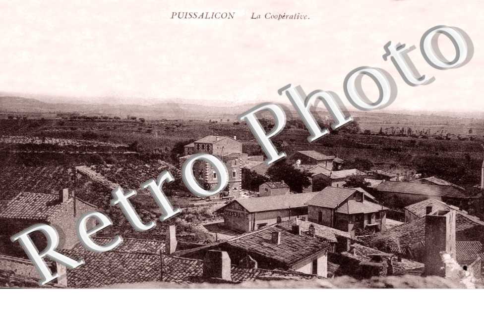 La Cooperative