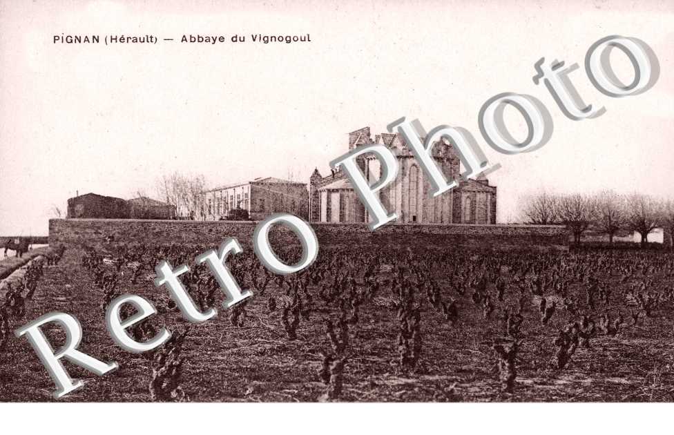 Abbaye de Vignogoul