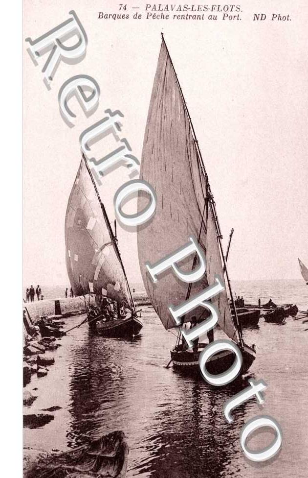 barque de peche rentrant au port