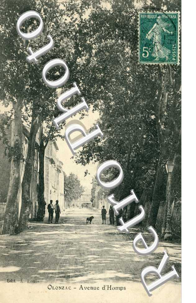 Avenue d'Homps