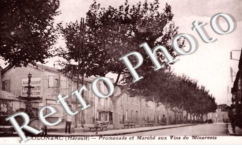 Promenade et marche aux vins du minervois