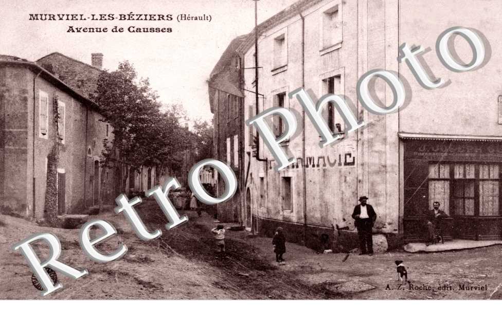Avenue de Causses