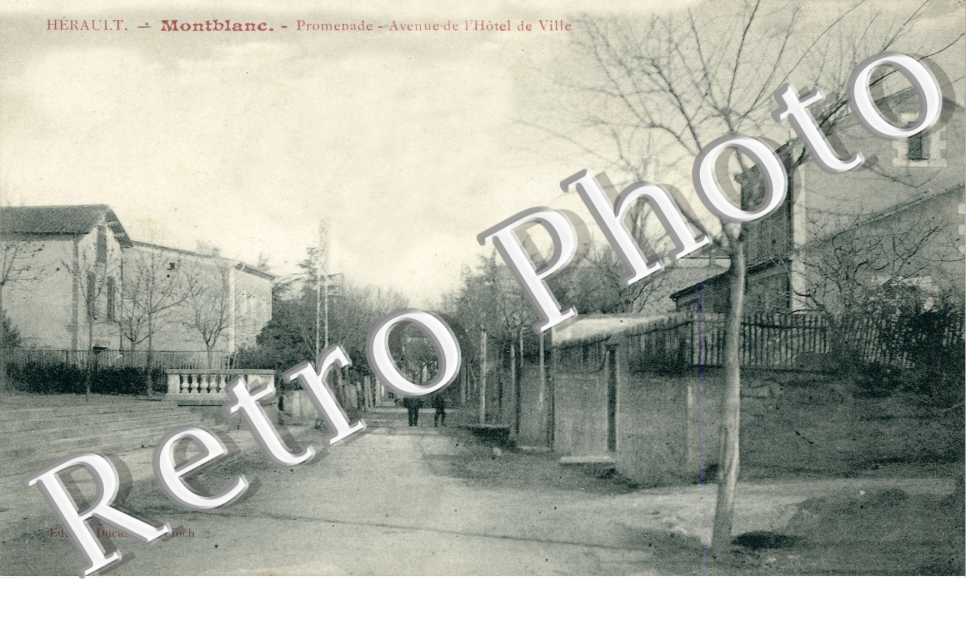 Promenade - avenue de l'hotel-de-ville