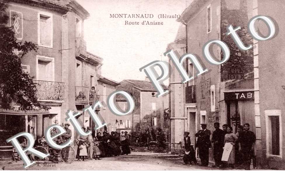 Route d'Aniane