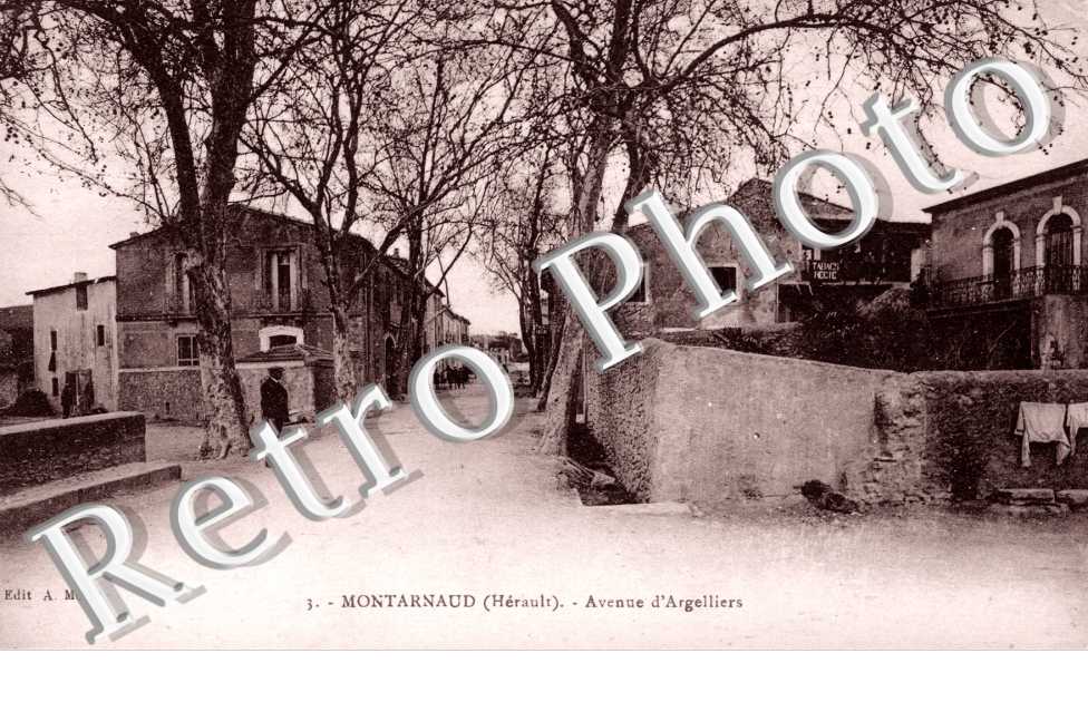 Avenue d'Argelliers