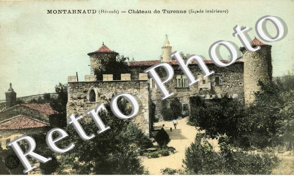 Chateau de Turenne