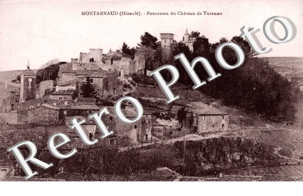 Panorama du chateau de Turenne