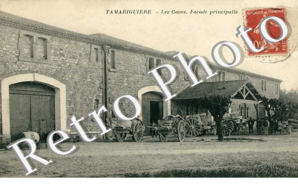 TAMARIGUIERE - Les caves