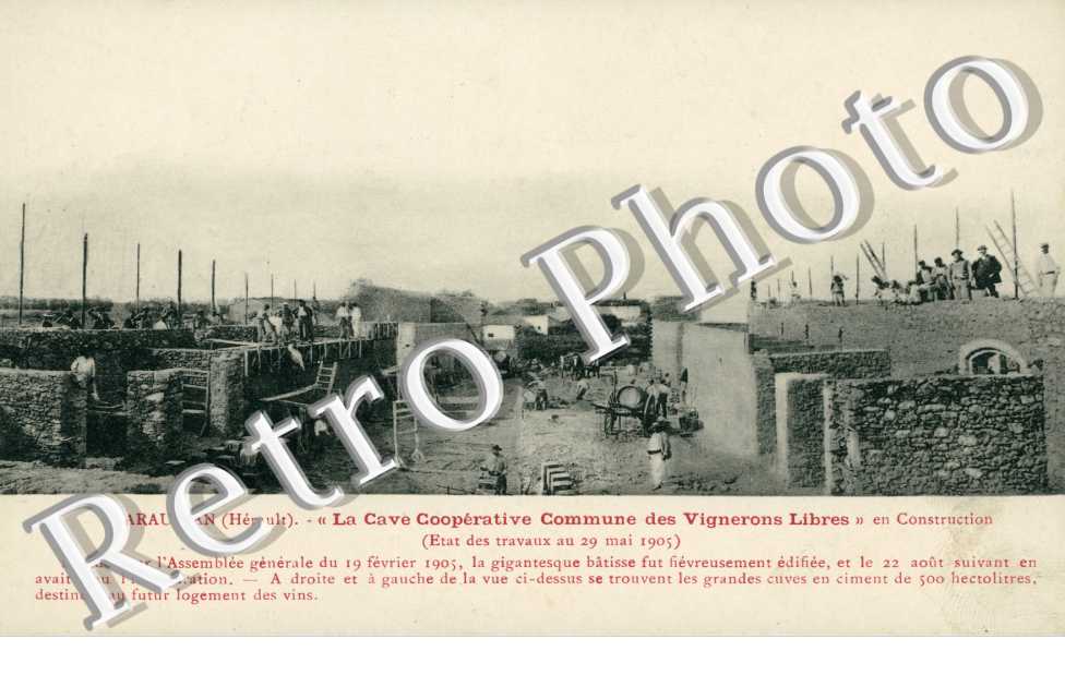 cave cooperative "les vignerons libres"
