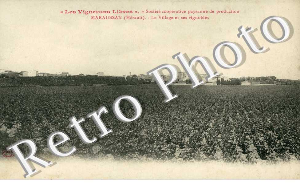 Le village et ses vignobles - societe cooperative paysanne de production