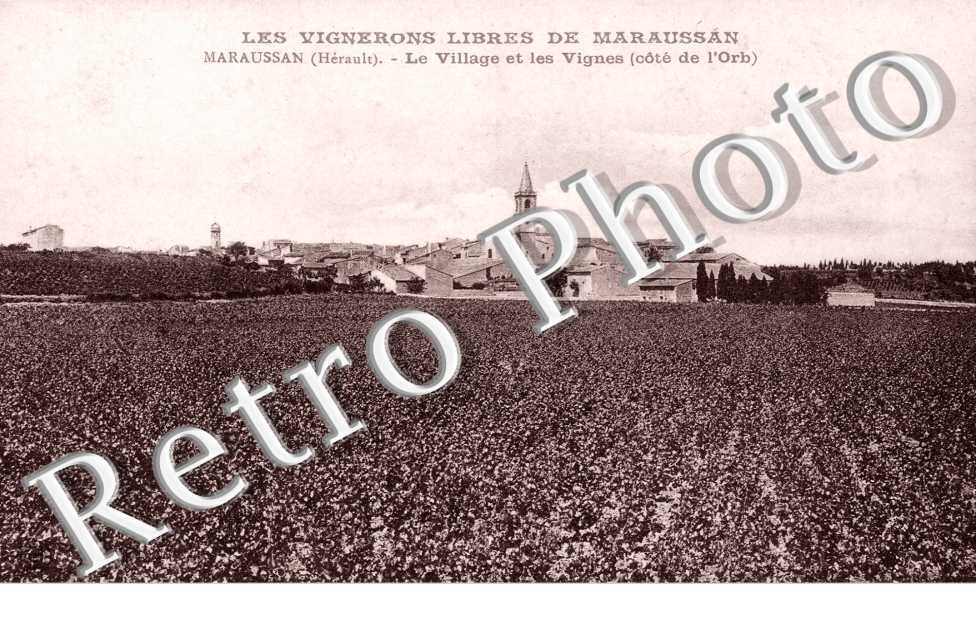 Le vilage et les vignes