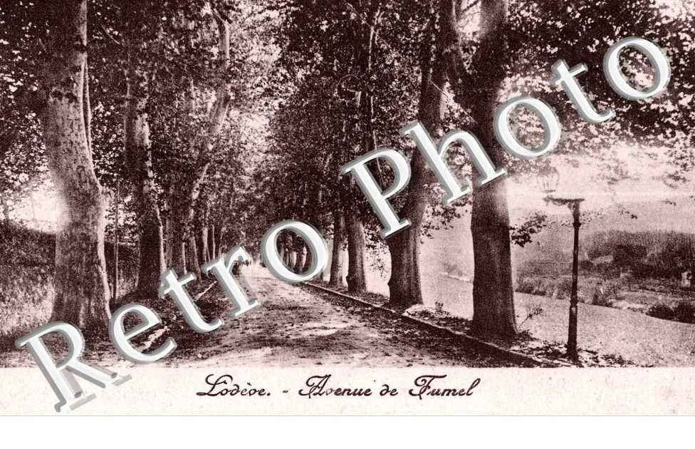 Avenue de Fumel
