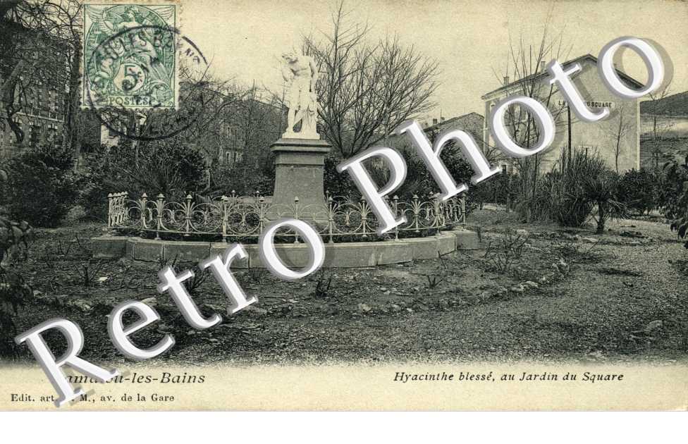 hyacinthe blesse au jardin du square
