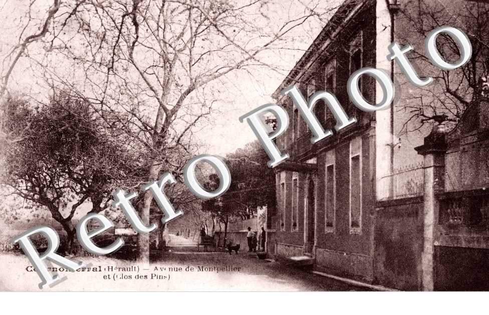 Avenue de Montpellier et clos des pins