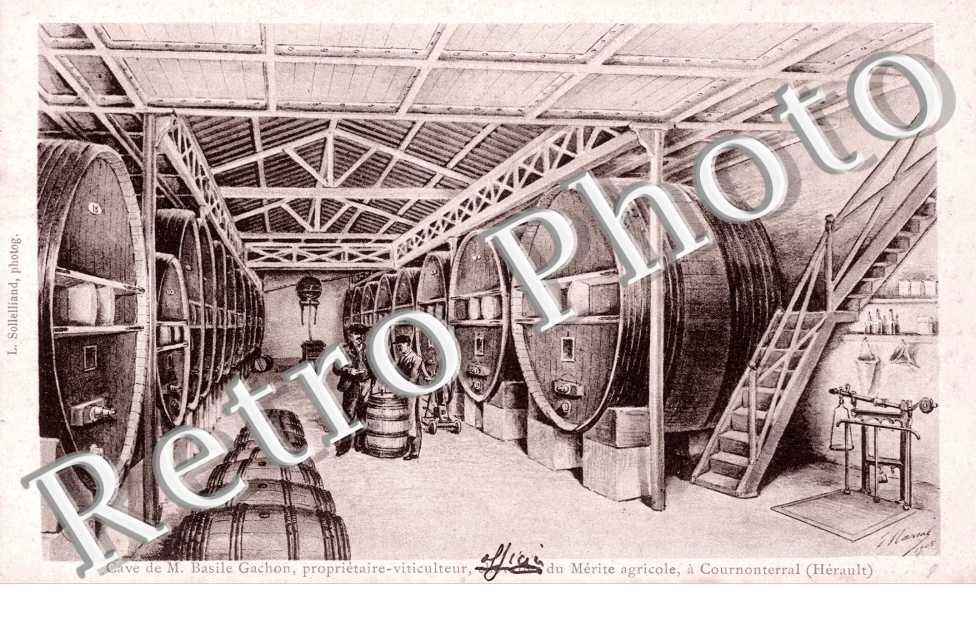 Cave de M. Basile Gachon, propriétaire - viticulteur
