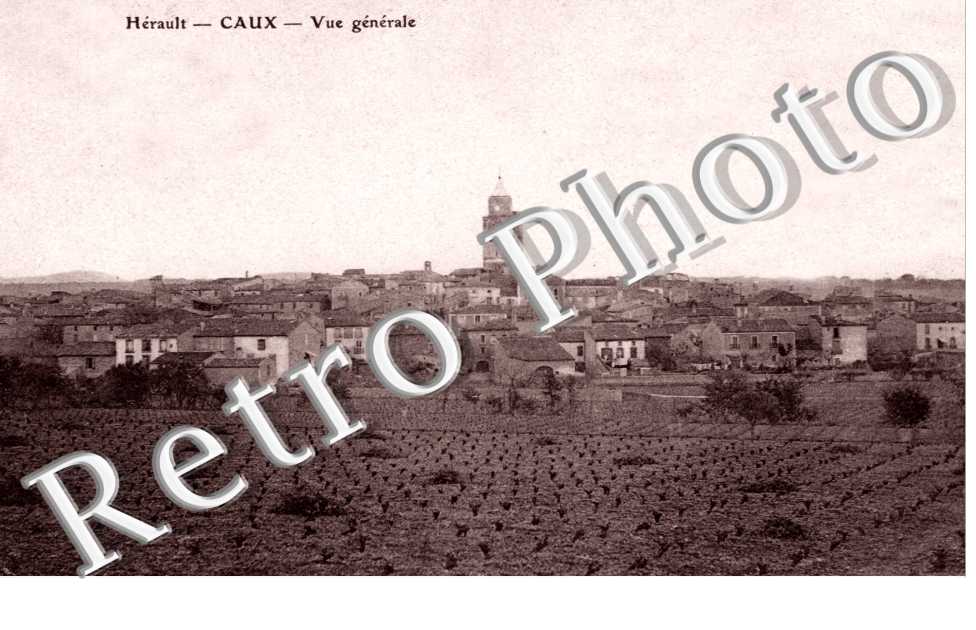 Vue generale