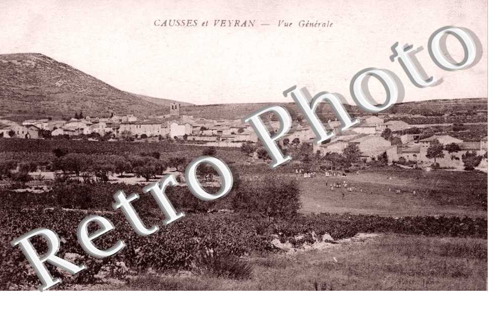 Vuer generale