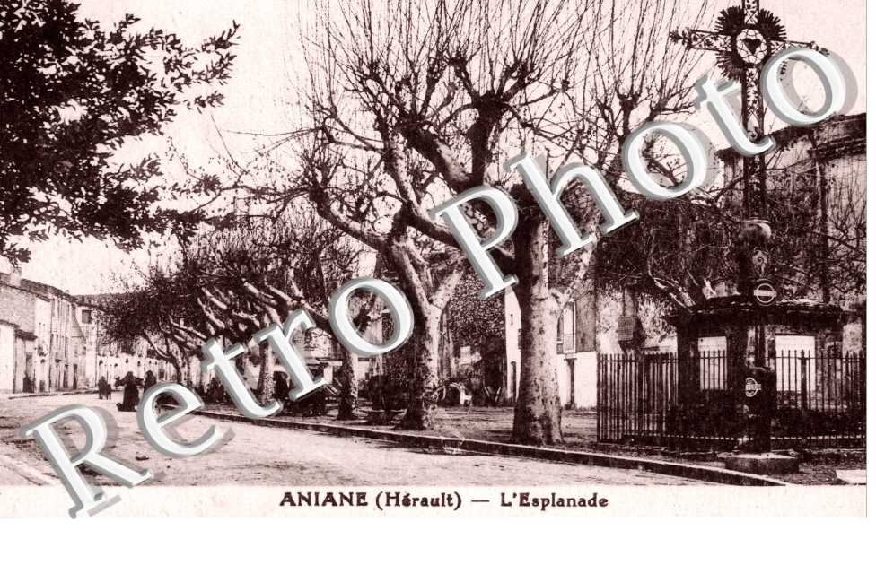 L'esplanade
