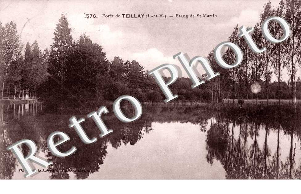 Foret de Teillay, Etang de Saint-Martin