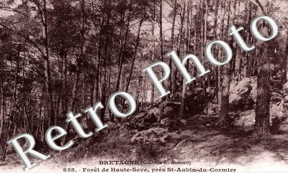 Foret de Haute Seve