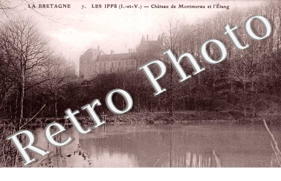 Chateau de Montmuran et l'Etang