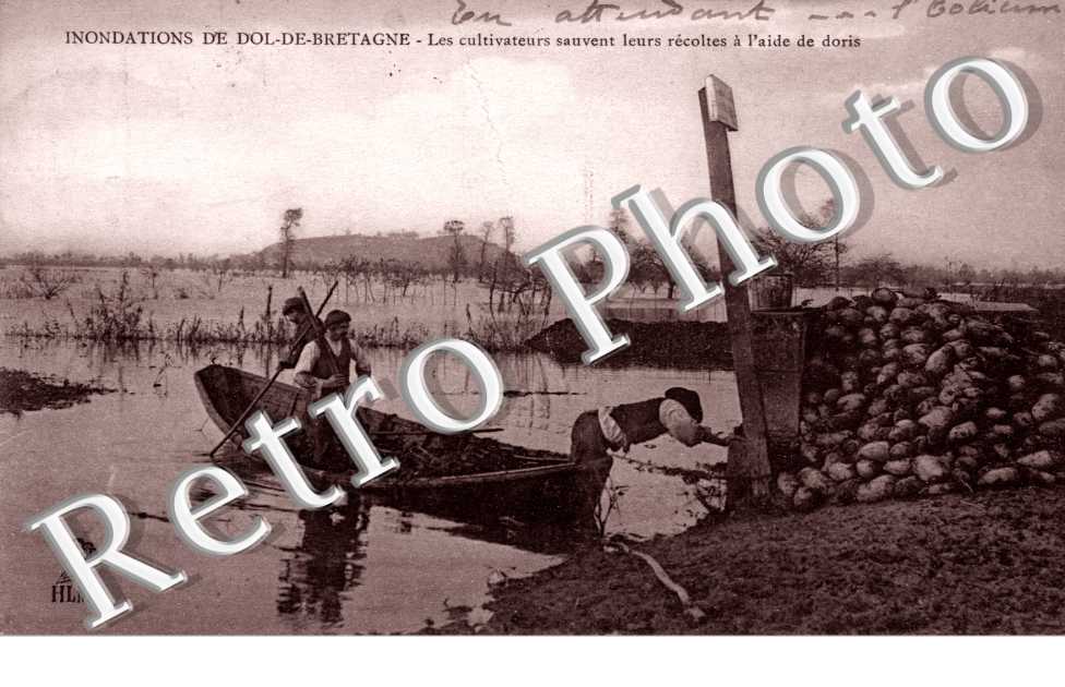 inondations de dol de bretagne, les cultivateurs sauvent leurs recoltes a l'aide de doris